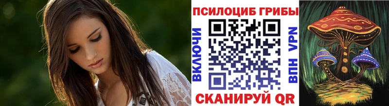Галлюциногенные грибы мицелий  купить наркоту  Новая Ладога 