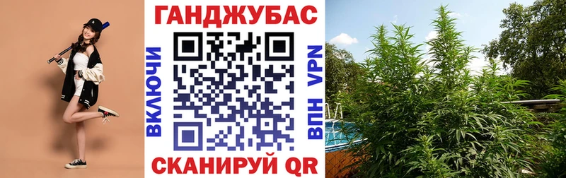 Бошки марихуана LSD WEED  что такое   Новая Ладога 